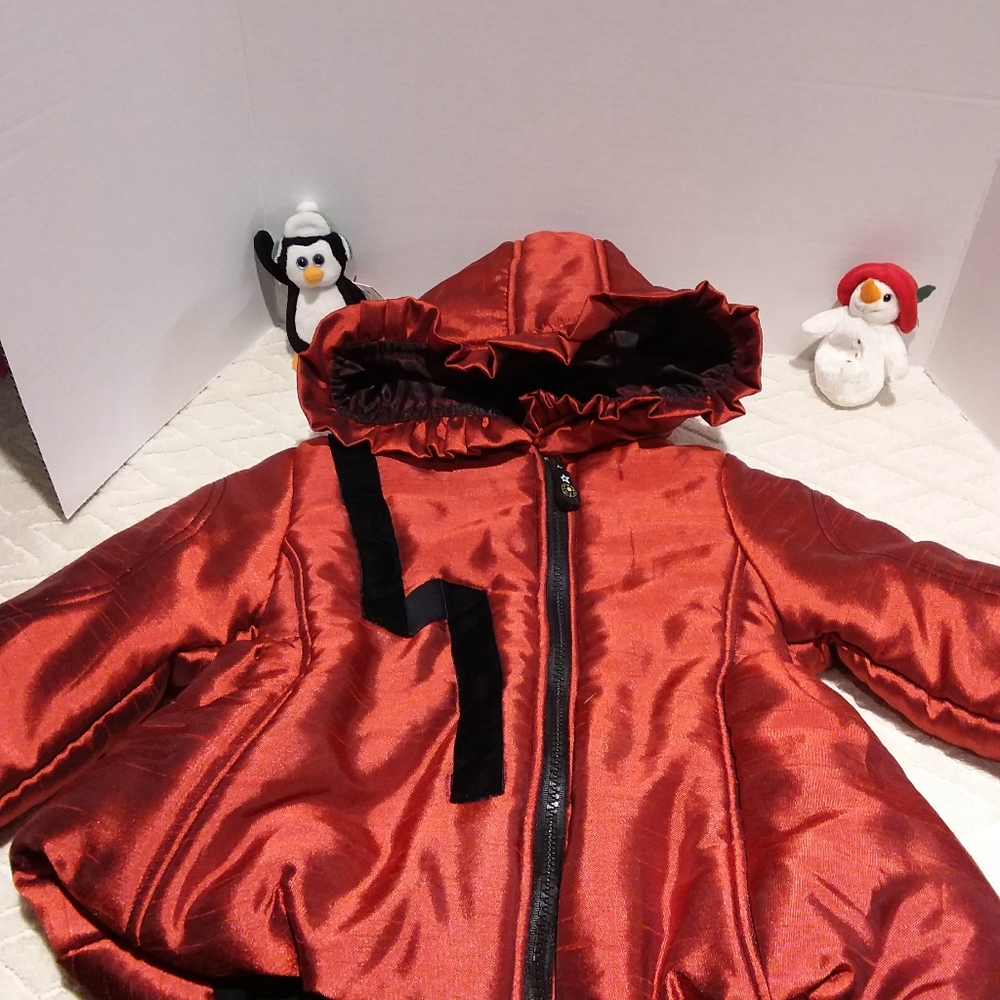 ⬇️vintage Gorgeous shiny dress coat-EUC